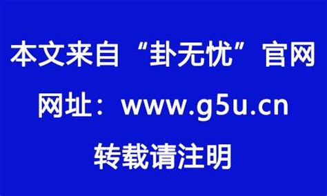 1982年属|1982年属什么 1982年属什么五行